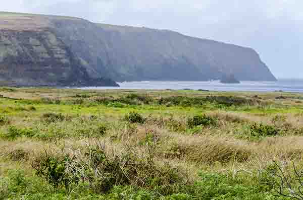 237 - Chile - isla de Rapa Nui o Pascua - paisaje
